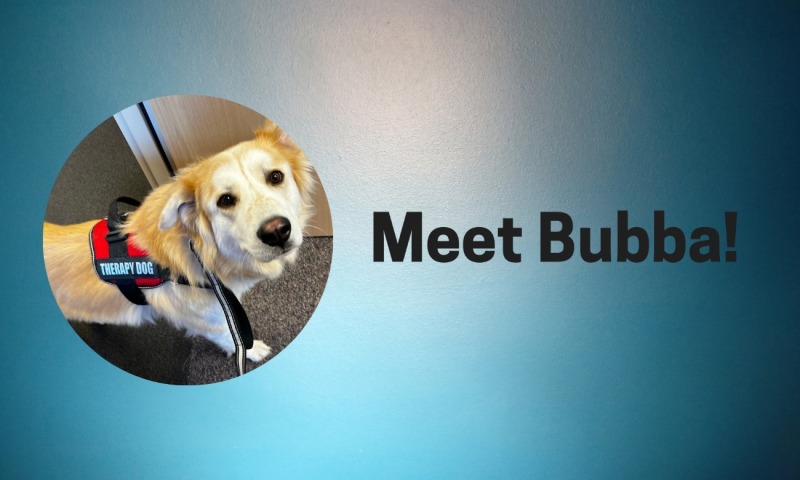 Meet Bubba!
