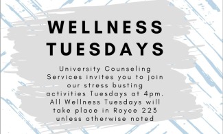 Wellness Tuesdays