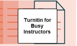 TurnItIn for Busy Instructors