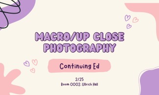 Macro/Up Close Photography