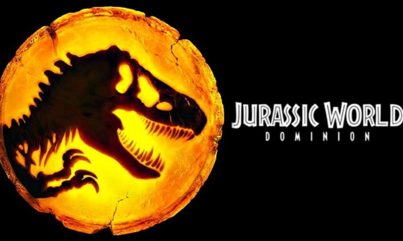 Pizzapalooza & Outdoor Movie