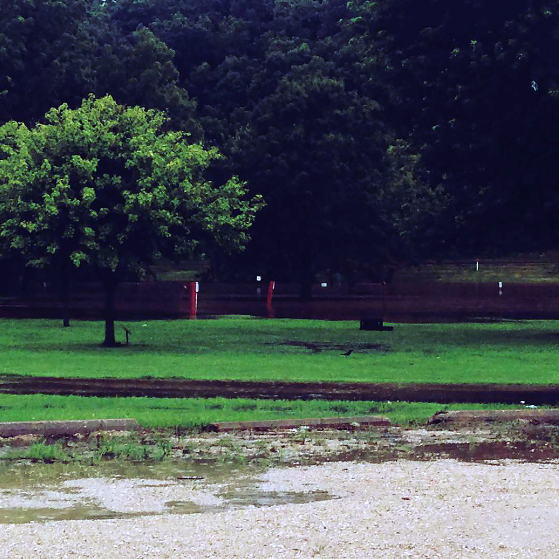 Flooding in Darlington, Wis.