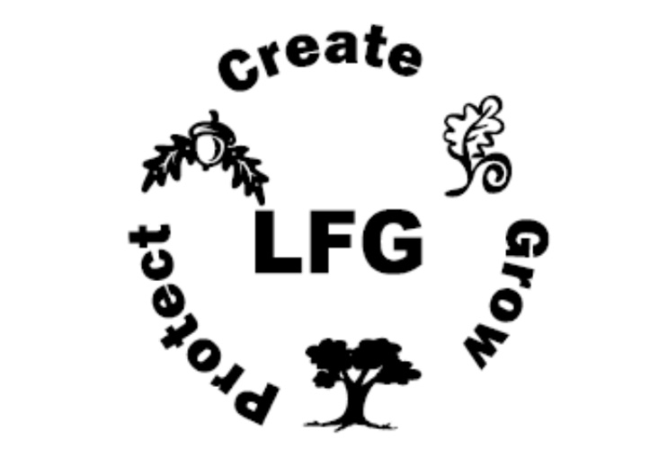 Lisle Financial Group
