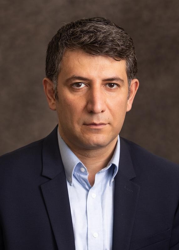 Profile image for Dr. Mehdi Roopaei